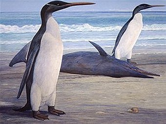 внешний вид древних пингвинов
